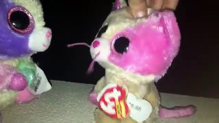 Beanie Boos: STORY TIME WITH ANABELLE!