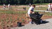 Nearly 17,000 plants take form at Delaware Botanic Gardens