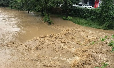 Yalova'yı sağanak vurdu; Caddeler göle döndü, ev ve işyerlerini su bastı