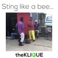 Sting like a bee...Join our Telegram channel for memes and daily entertainment:
