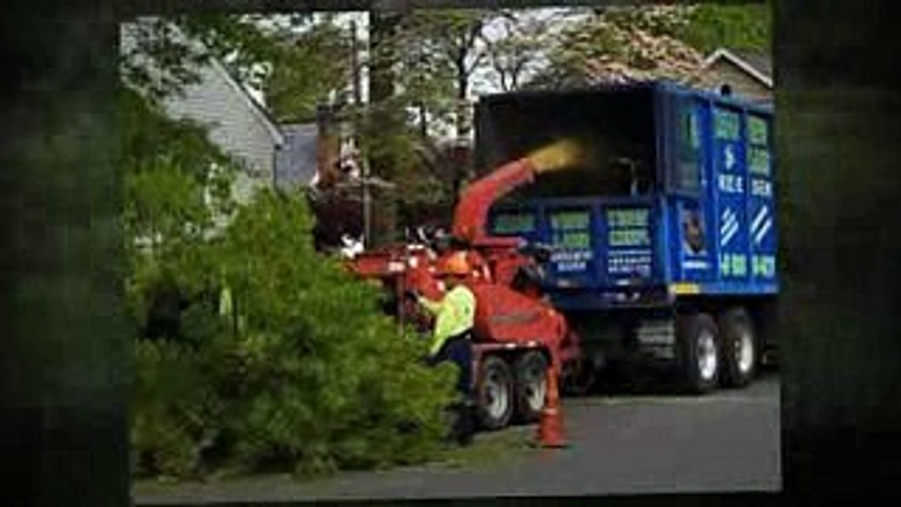 UNBEATABLE RATES Tree Service & Removal