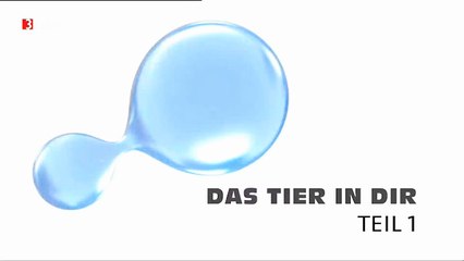 Das Tier in Dir - 2009 - 1v3 -  Vom Ein- zum Vielzeller - by ARTBLOOD