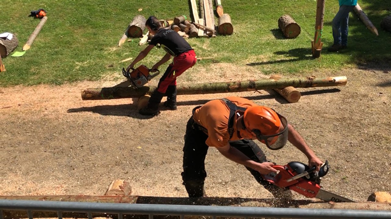 Les Olympiades du bois, c’est parti !