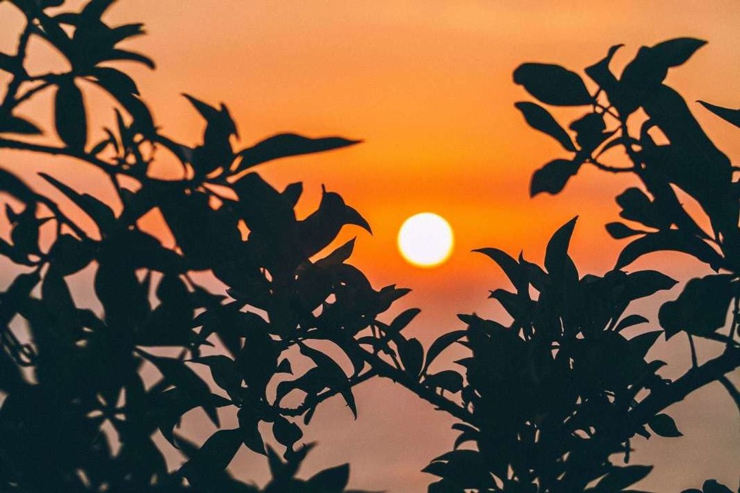 L'origine du soleil
