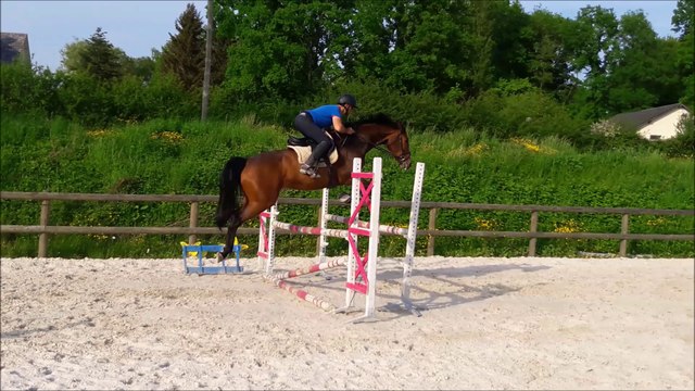 Dis Moi'Tou, jument SF de 5 ans