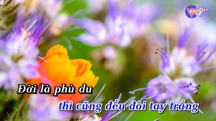 Cát bụi cuộc đời - Karaoke HD || Vici Kara