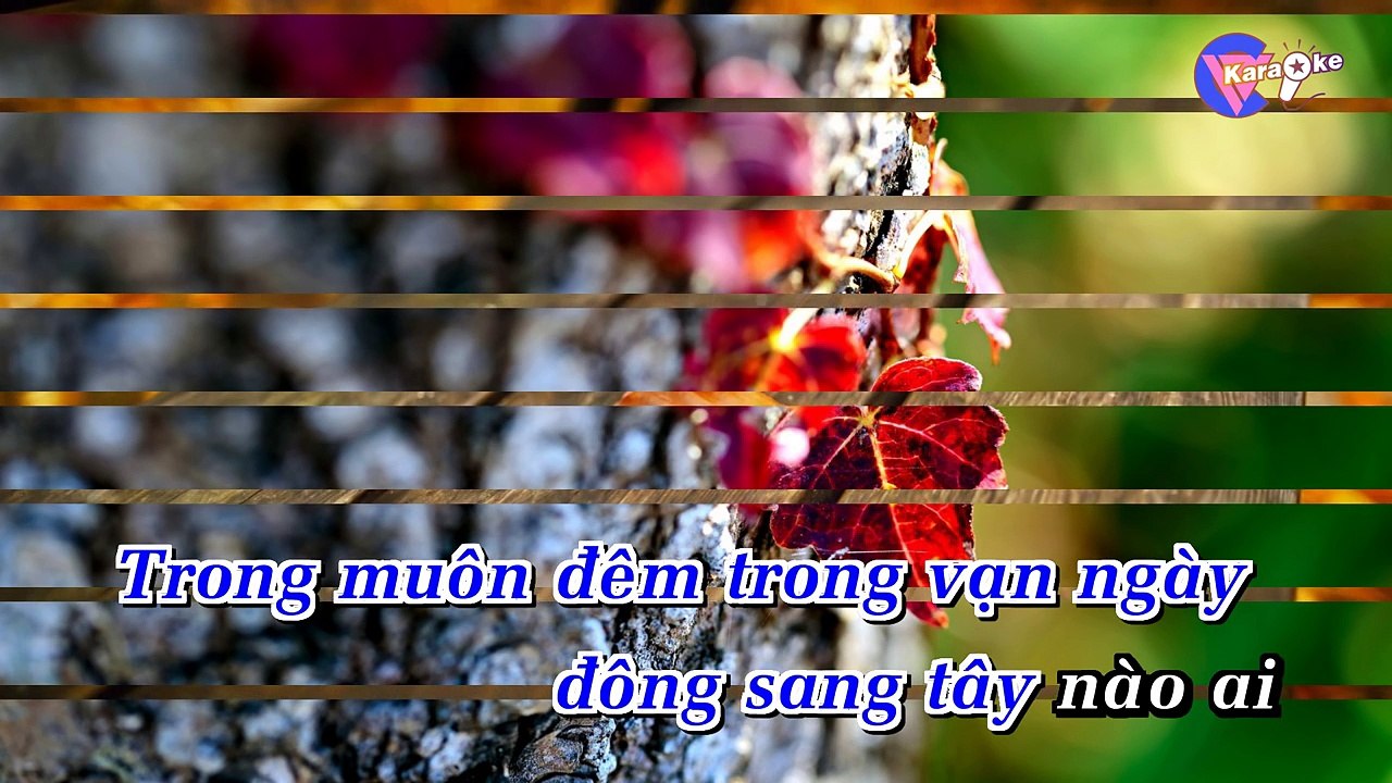Lời tỏ tình ong bướm - Karaoke HD [ViCi]