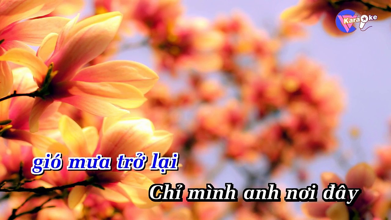 Chút kỷ niệm buồn - Karaoke HD [ViCi]