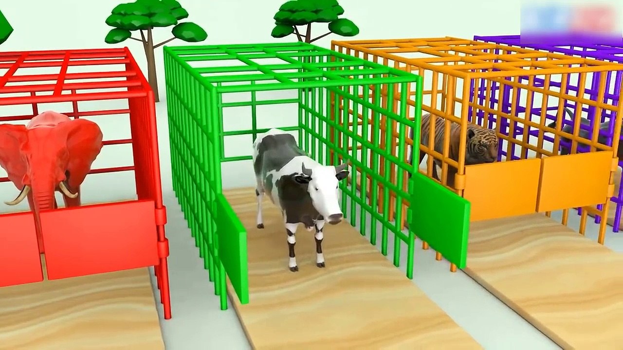 Learn Colors with Tiger and Squirrel For Kids #z | Colours Animals Slide Race For Children