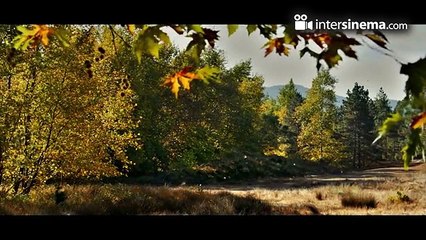 Ahlat Ağacı - Fragman