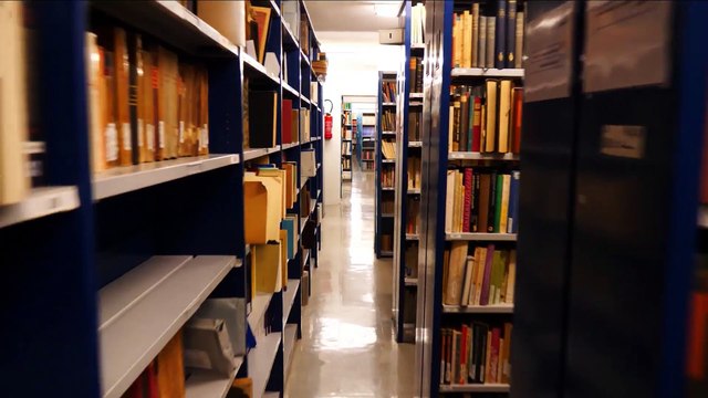 FUN-MOOC : Histoire des représentations et du traitement de la folie