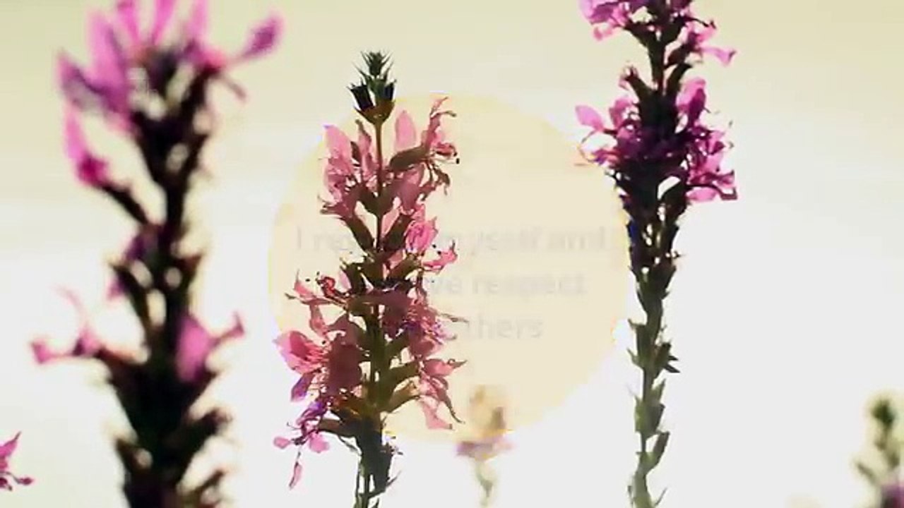 Affirmations for Self Esteem - Self Confidence Affirmations (Daily Affirmations)