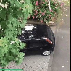 Why people can -parallel park?