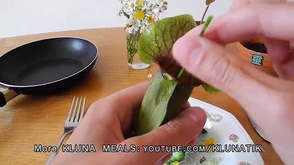 Venus Flytrap (charlie) BIT my finger! |#26 KLUNATIK COMPILATION ASMR eating sounds no talk