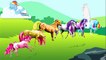 ✿ MLP Horses Compilation - My Little Pony Coloring Book Video Episode For Kids FIM HD