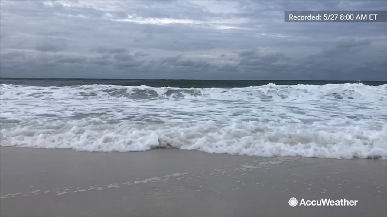 Tropical Storm warning in effect as Florida prepares for Alberto