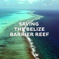Belize and the World Wildlife Fund are proud to launch the Sister Reef Project, a first-of-its kind initiative helping the world’s two largest reefs. Learn more