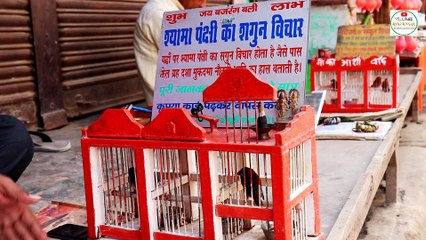 Village Regional || Village Regional Videos