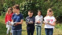 Trois écoles correspondent par pigeons voyageurs, dans le pays de Pontivy