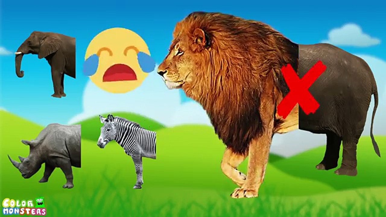 Wrong Heads Wild Animals Speed Matching Game Animals Bear Fox Kangaloo Rabbit Learn Animals for Kids