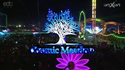 Boys Noize  - Live at EDC Las Vegas 2018