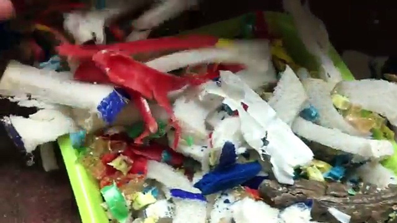 SHREDDING POOP AND OTHER TOYS IN SHREDDER COMPILATION shredding stuff video Dailymotion
