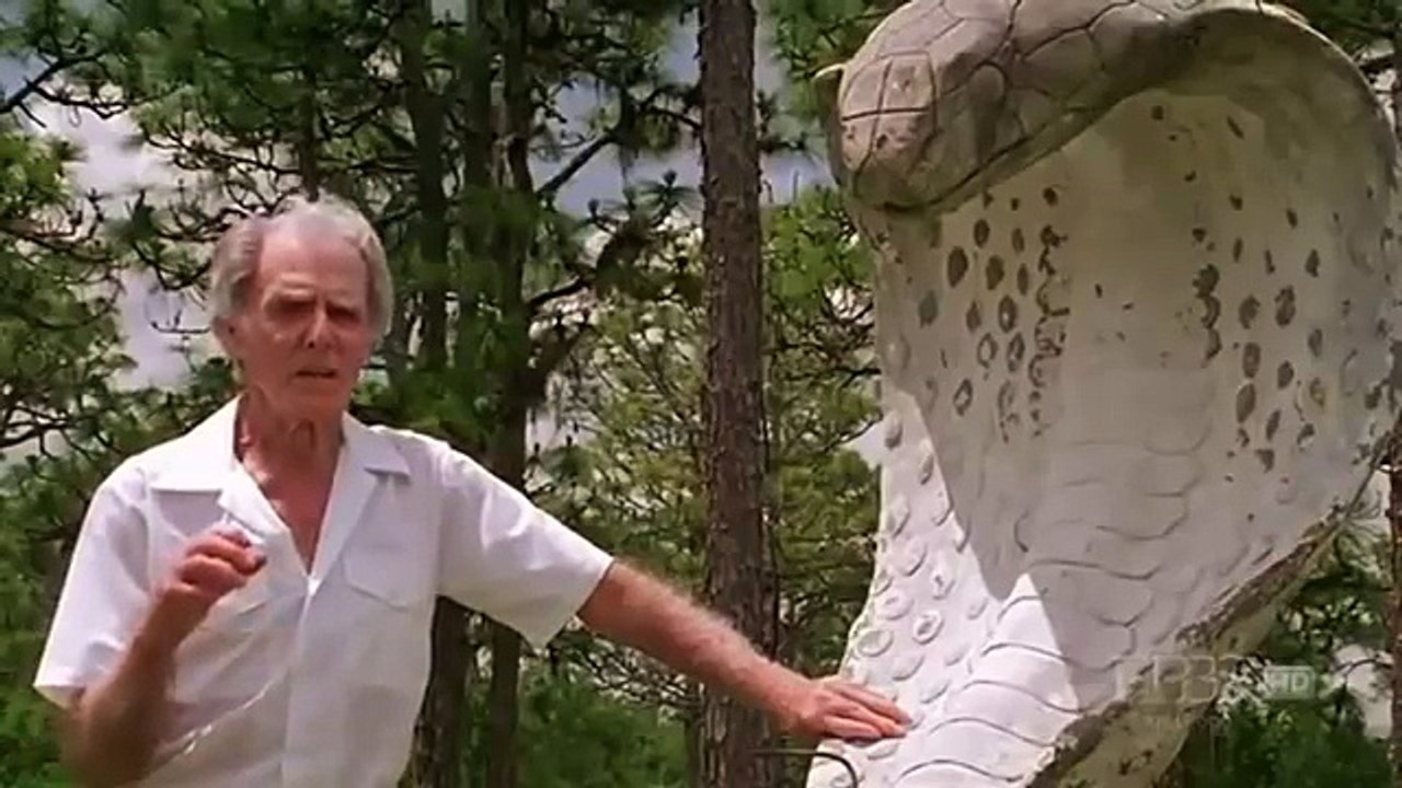 The Reptiles (Part-2) Snakes (Nature Documentary )