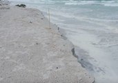 Storm Alberto Causes Beach Erosion in Longboat Key, Florida