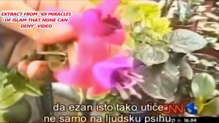 Flower Blooms To The Azaan - Muslim Call To Prayer