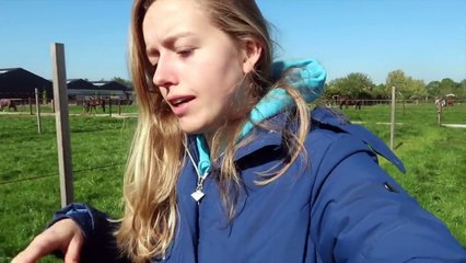 Ik heb afscheid moeten nemen | Weekvlog #101