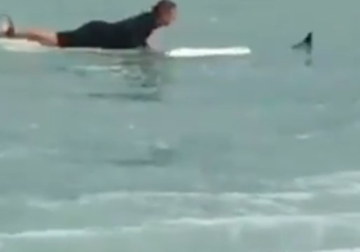 Florida Surfer Saves Bird in Ocean as Alberto Heads for Gulf Coast