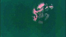 john paul  jones bass intro dazed n confused long  mp4 sound  gif