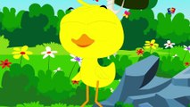 canards famille doigt - Baby rimes et chansons Popular Kids Nursery Song - Ducks Finger Family