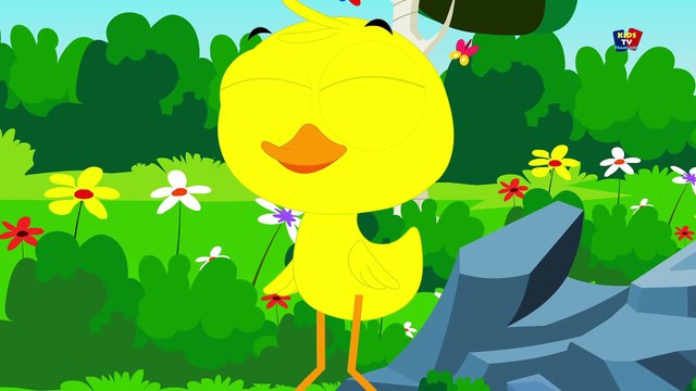 canards famille doigt - Baby rimes et chansons Popular Kids Nursery Song - Ducks Finger Family