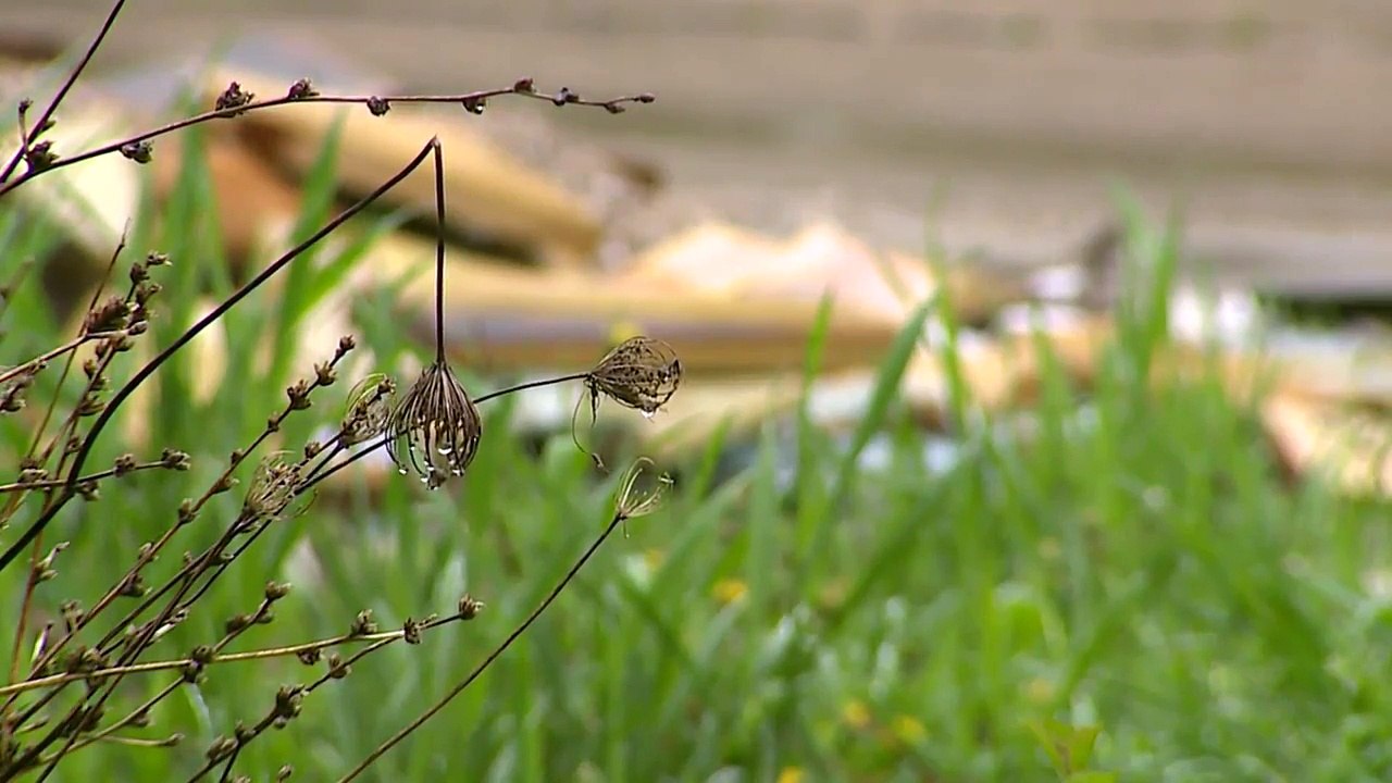 Man Accused of Beating, Stabbing Teen to Death Makes First Court Appearance