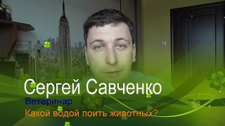 Вода для животных. Какую воду давать кошке/собаке?