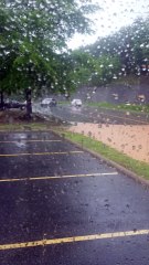 Prius Driving Through Flood Fail