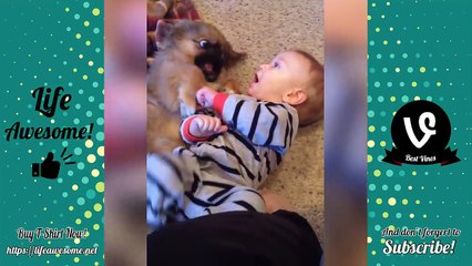 TRY NOT TO LAUGH - Funny Babies Compilation 2018 | Funny Kids Fails Videos 2018