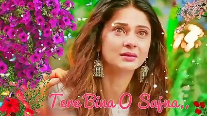 Tere Bina O Sajna/latest status video/Romantic-love/2