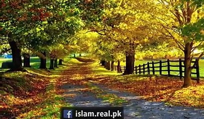 Ak kaffar na Apna beta ko Ramzan ul Mubharak ma tappar kyu mara