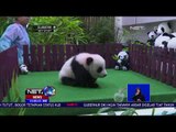 Malaysia Zoo Pamerkan Bayi Panda  -NET12