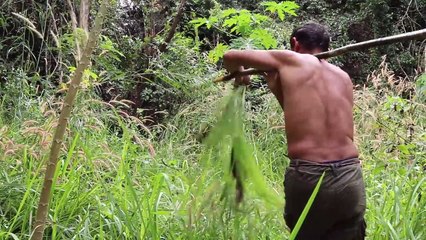 The way to living And Finding Food in the Forest, Primitive Fishing and Cooking