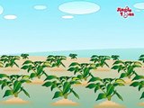 Vegetable Rhymes - Potato (English) for kids by Jingle Toons Nursary Rhymes Series (Animation)