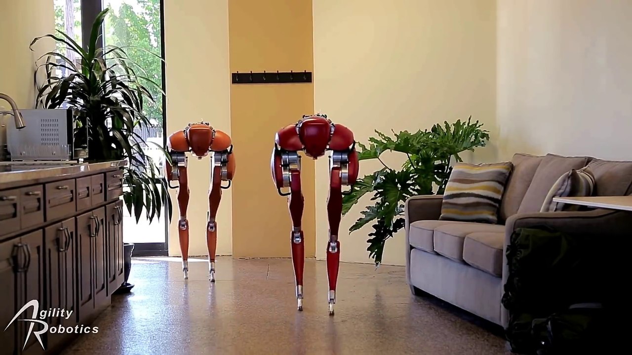 -Cassie- Two-Legged Walking Robot From Agility Robotics - Made For Search & Rescue Efforts.