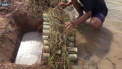 Catch Fish And Crab In Simple Trap