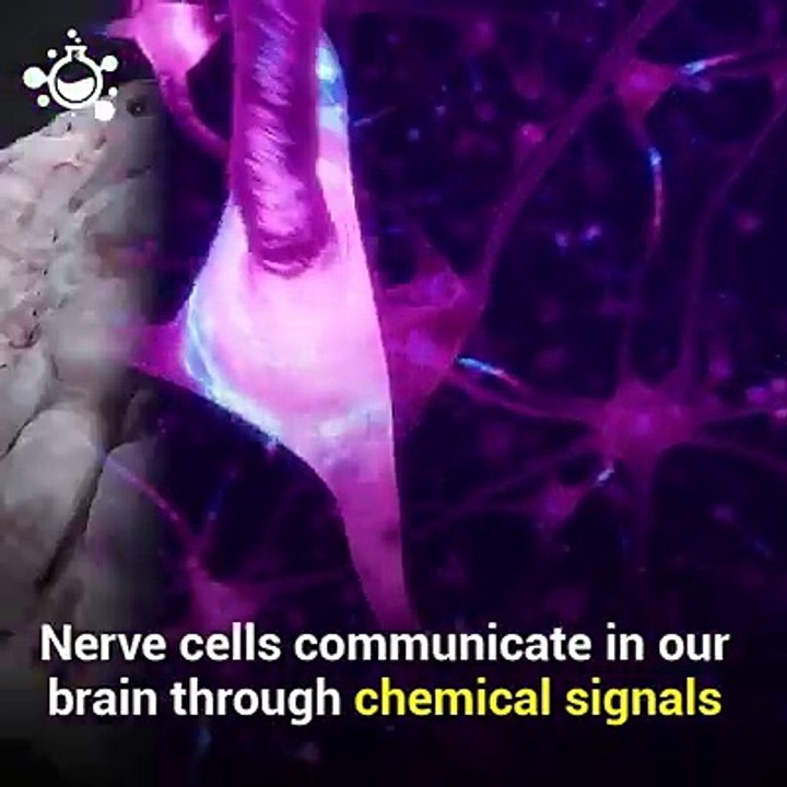Artificial Neurons Can Function Just Like Human Brain Cells