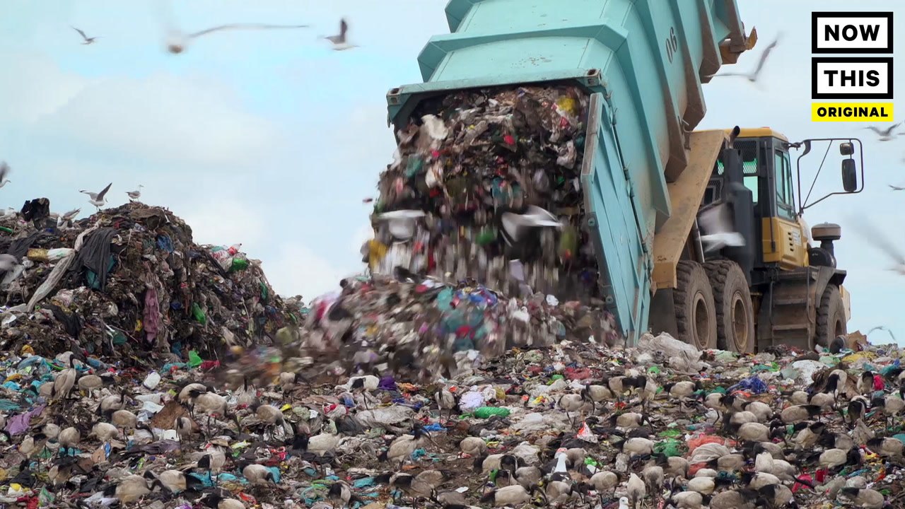 Following Waste: From Food to Compost