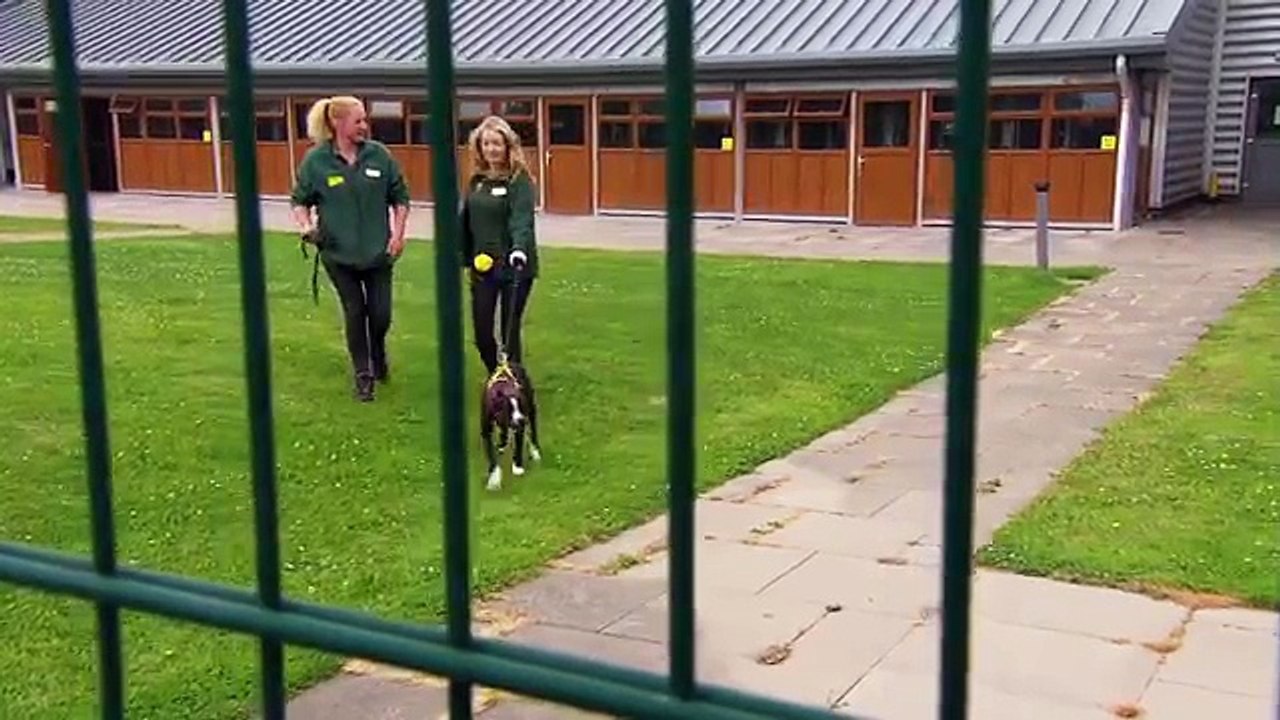 Penny And The Puppies | Wild Things Shorts