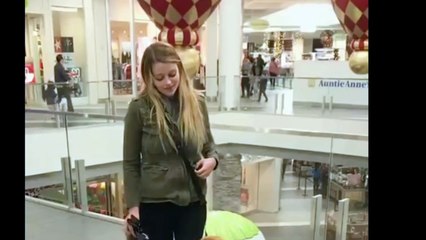 Funny Golden Retrievers