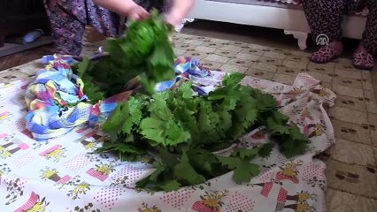 Üzüm yaprağı üreticinin yüzünü güldürüyor - HATAY